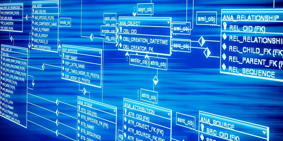 Database Management